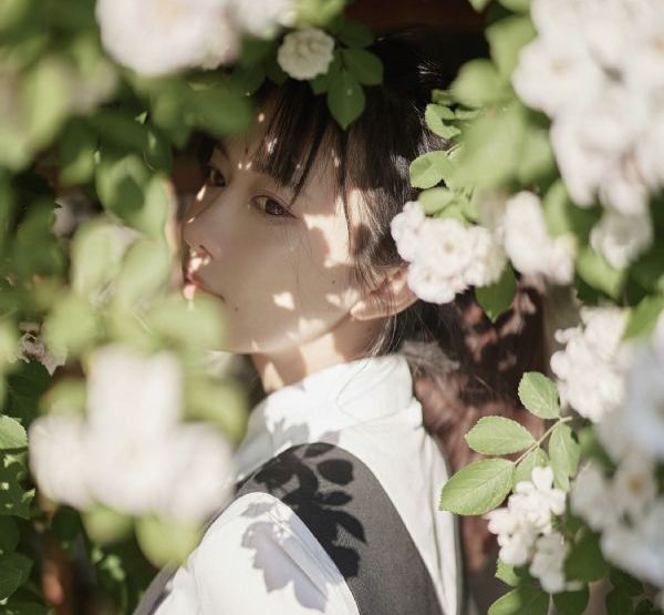 蜜蜂成熟时_在线手机观看